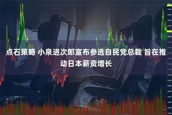 点石策略 小泉进次郎宣布参选自民党总裁 旨在推动日本薪资增长