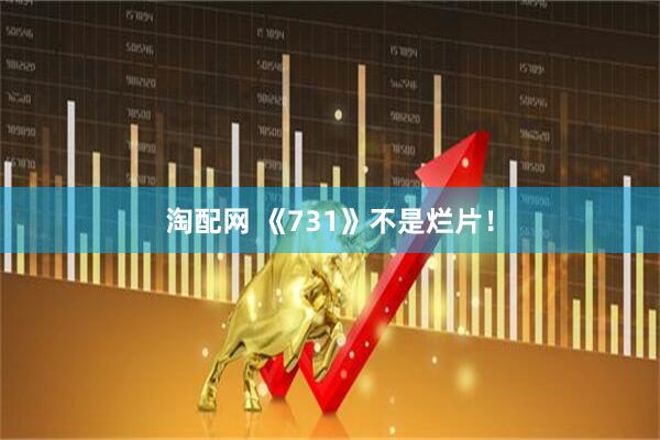 淘配网 《731》不是烂片！
