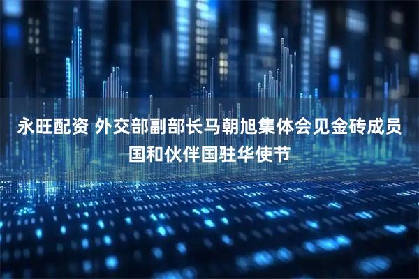 永旺配资 外交部副部长马朝旭集体会见金砖成员国和伙伴国驻华使节