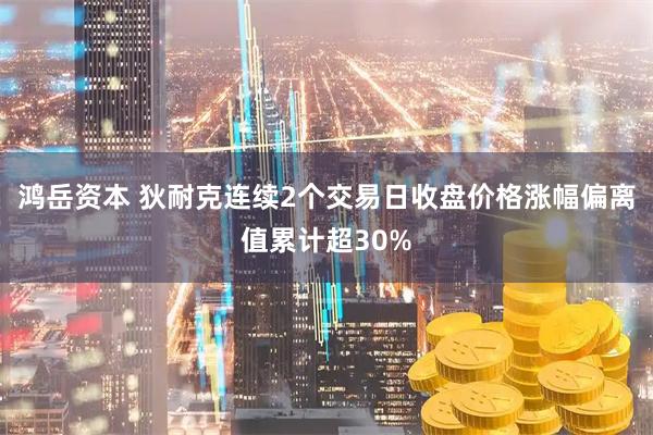 鸿岳资本 狄耐克连续2个交易日收盘价格涨幅偏离值累计超30%