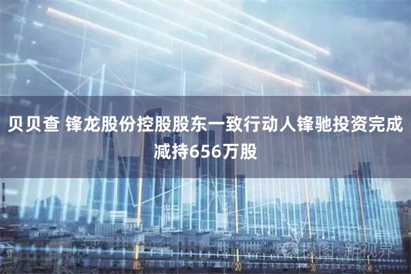 贝贝查 锋龙股份控股股东一致行动人锋驰投资完成减持656万股