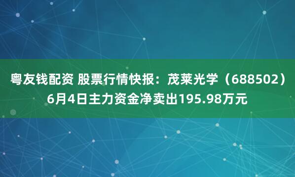 粤友钱配资 股票行情快报：茂莱光学（688502）6月4日主力资金净卖出195.98万元