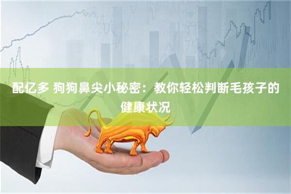 配亿多 狗狗鼻尖小秘密：教你轻松判断毛孩子的健康状况