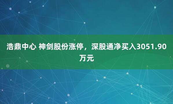 浩鼎中心 神剑股份涨停，深股通净买入3051.90万元