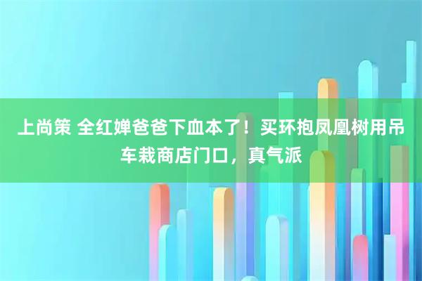 上尚策 全红婵爸爸下血本了！买环抱凤凰树用吊车栽商店门口，真气派