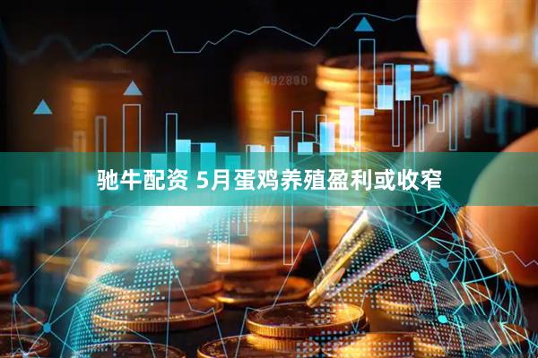 驰牛配资 5月蛋鸡养殖盈利或收窄